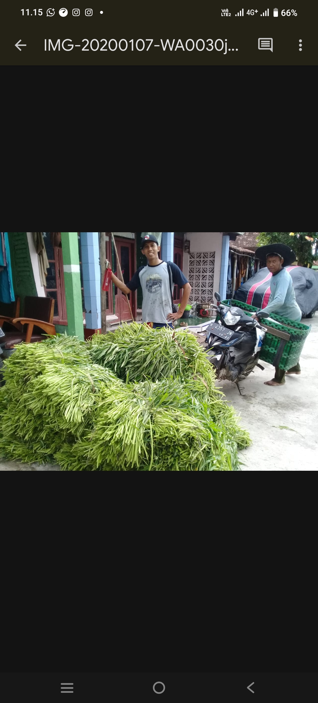 KANGKUNG